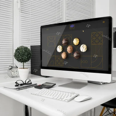 طراحی سایت شرکت شونیز داداش برادر