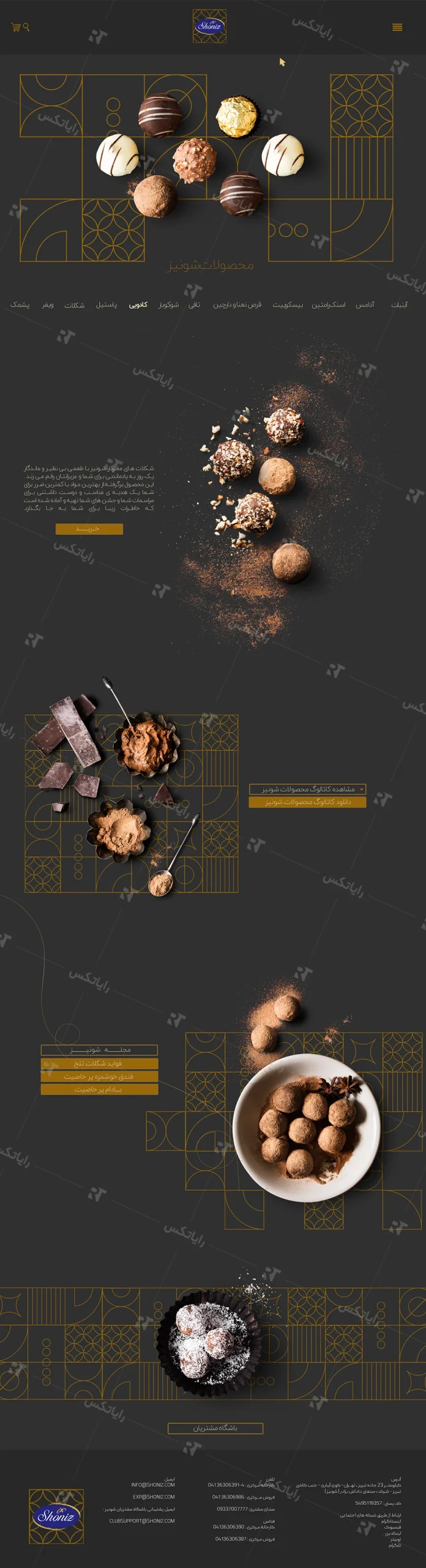 باز طراحی سایت شرکت شونیز داداش برادر