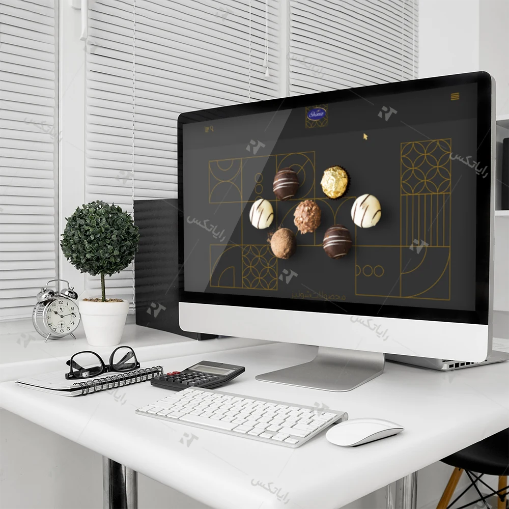 طراحی سایت شرکت شونیز داداش برادر